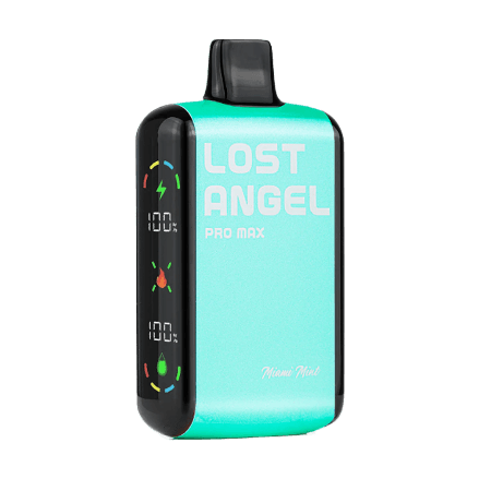 LOST ANGEL